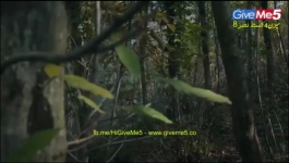 Dirilis Ertugrul - Season 04 Episode 08